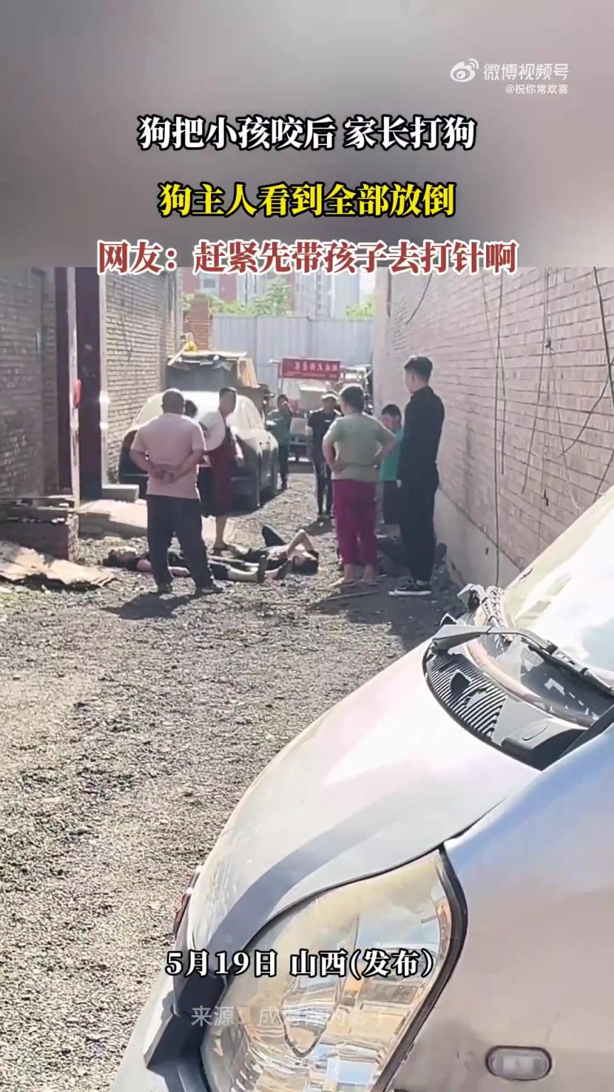 小孩被狗咬伤后家长打狗，狗主人见状将其放倒