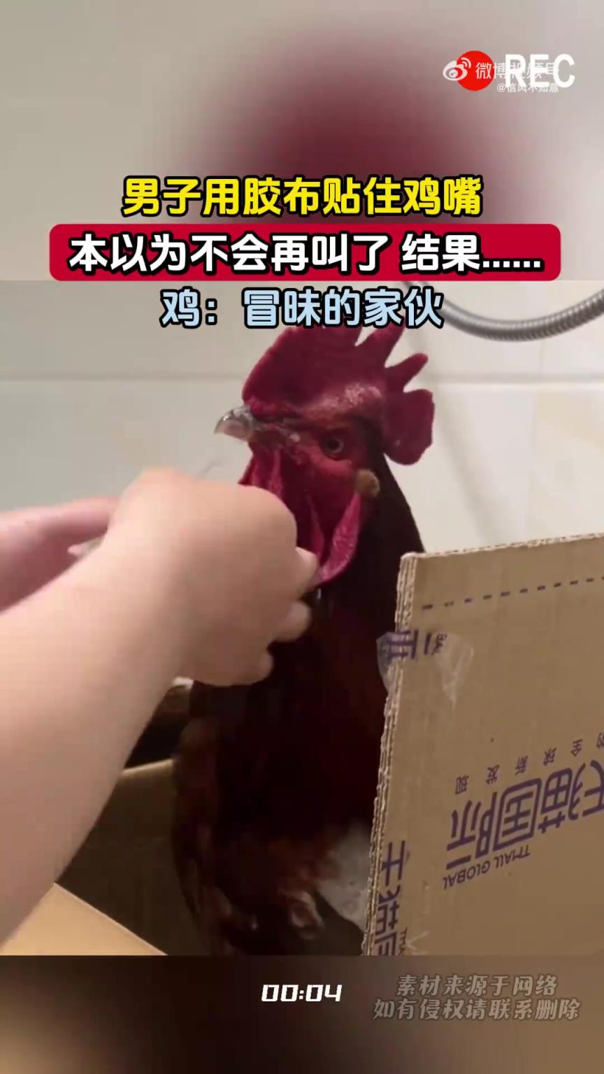 男子用膠布貼雞嘴盼其止叫，未料雞有“意見”
