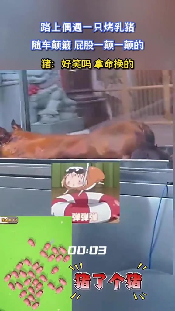 路上偶遇一只烤乳猪,随车颠簸,屁股一颠一颠的!!