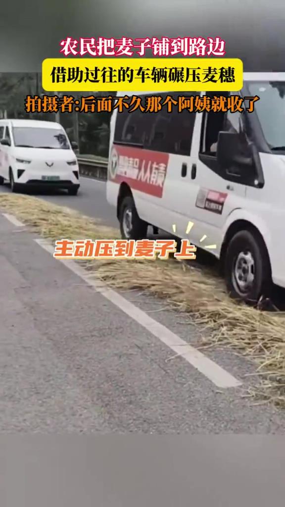農(nóng)民把麥子鋪到路邊 借助過往的車輛碾壓麥穗