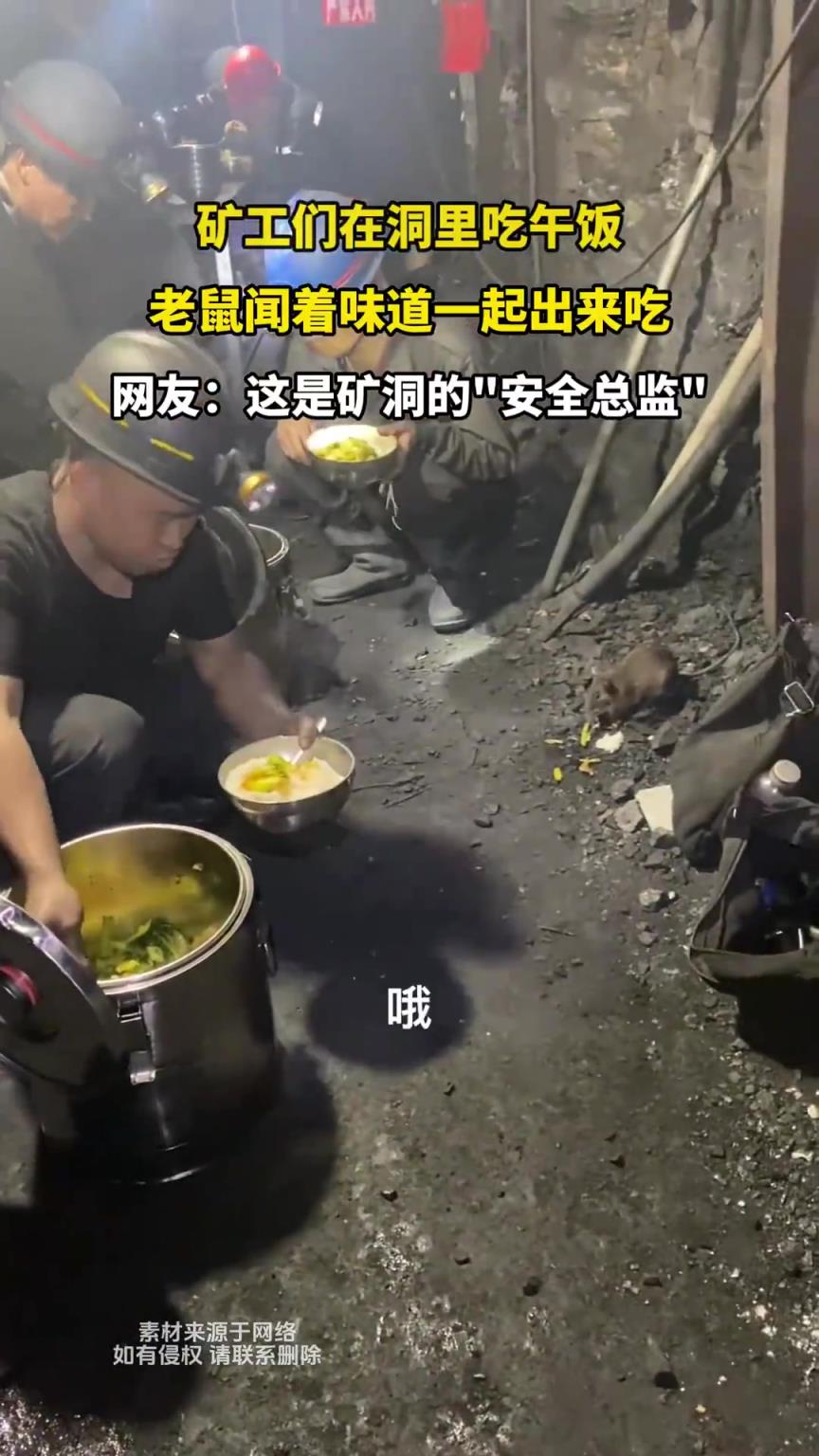 矿工们在洞里吃午饭，老鼠闻着味道一起出来吃
