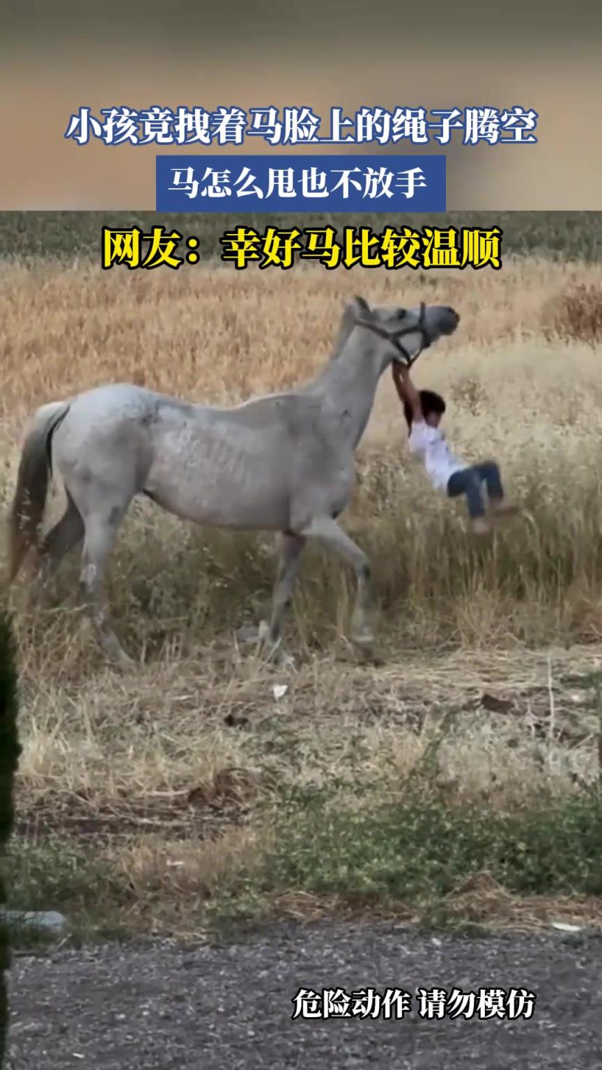 小孩竟拽着马脸上的绳子腾空，马怎么甩也不放手