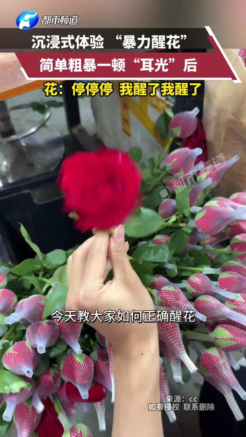 醒花需要光合作用 耳光也是光
