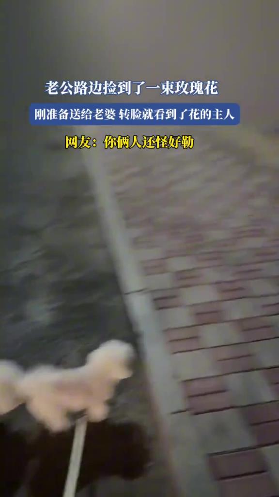老公路边捡到了一束玫瑰花,刚准备送给老婆,转脸就…