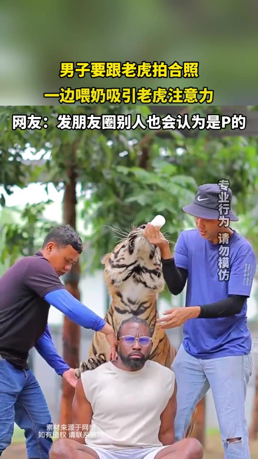 男子跟老虎拍合照，一邊喂奶吸引老虎注意力