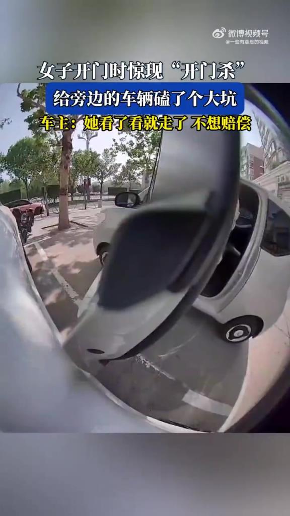 女子開門不慎引發 “開門殺”，旁車被磕出大坑