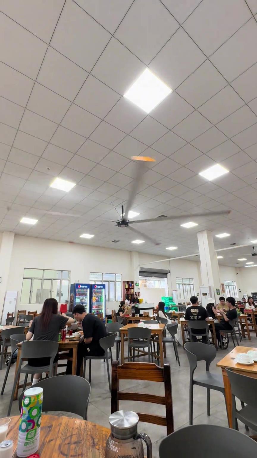 这风扇够大吧，一个风扇管一个餐厅！！！