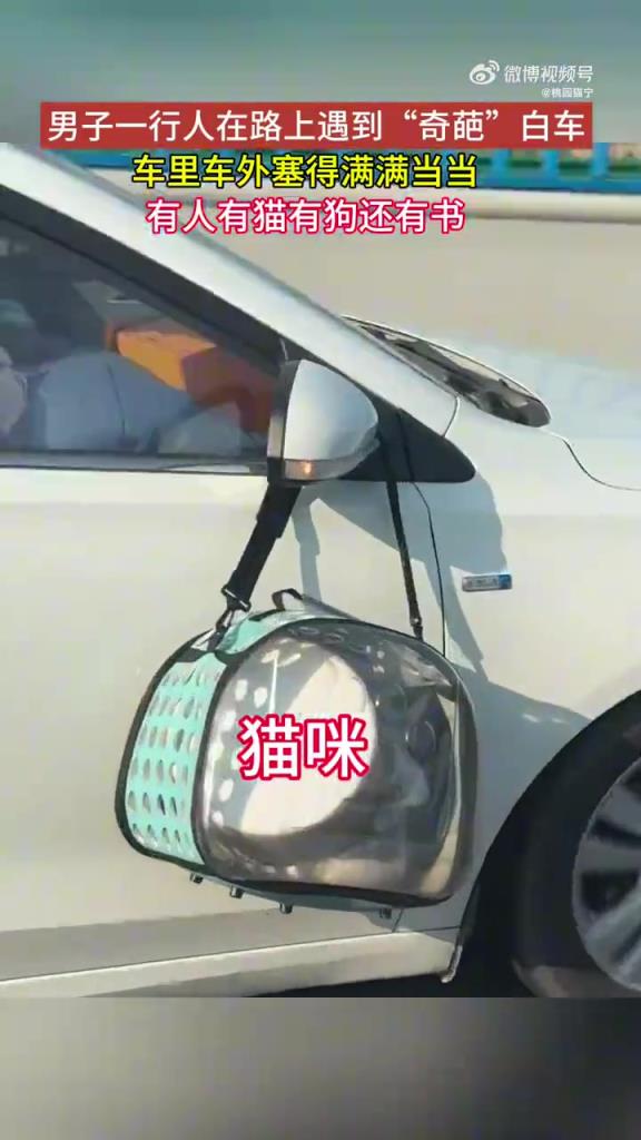白车塞满人和宠物书籍，网友戏称 “移动的家”