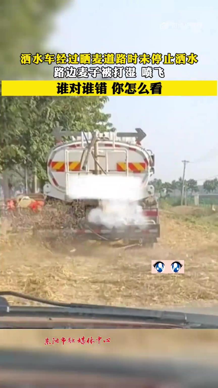 洒水车过晒麦道路未停洒，路边麦子被打湿喷飞