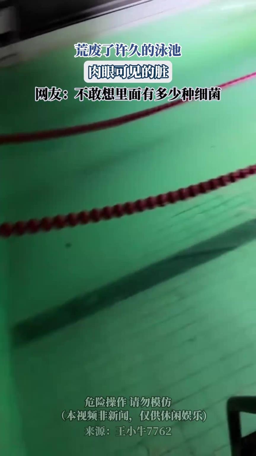 荒废了许久的泳池，肉眼可见的脏，网友：不敢想里面有多少种细菌