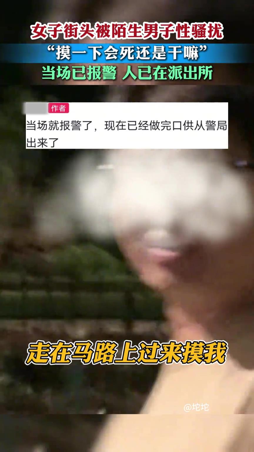 女子街头被陌生男子性骚扰 ，男子：摸一下会死还是干嘛！