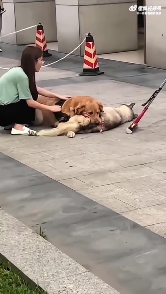 家中突發狀況，女主人孤立無援顯無助