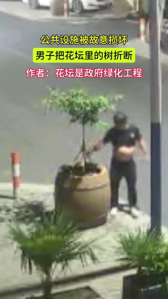 公共设施被故意损坏 男子把花坛里的树折断