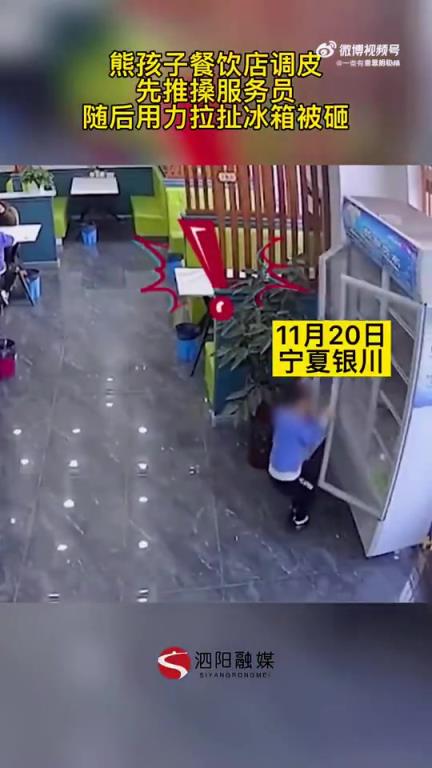 熊孩子餐饮店调皮：推搡服务员，拉冰箱被砸
