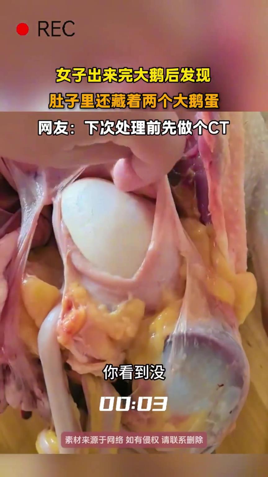 女子出来完大鹅后发现，肚子里还藏着两个大鹅蛋
