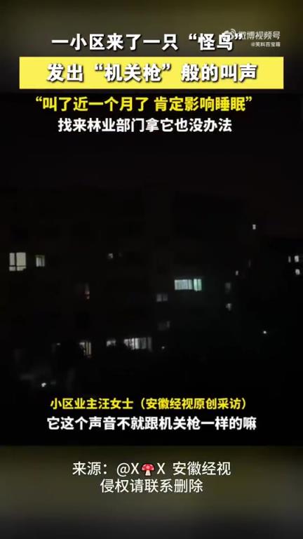小区现“怪鸟”，叫声似“机关枪”