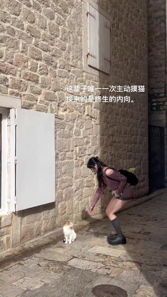 女生咋就敢乱摸流浪猫的啊？不怕被咬？