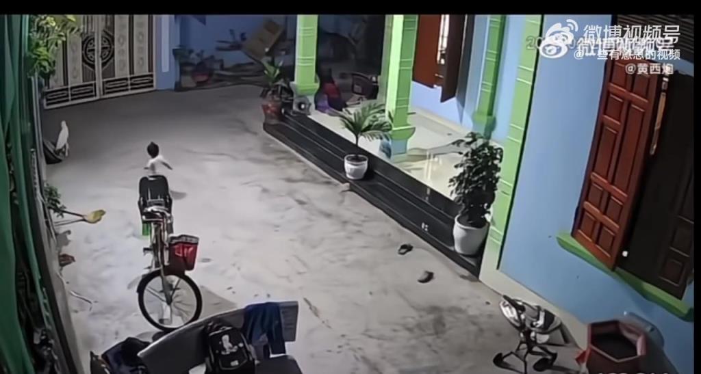 咬人的狗是否该留？网友热议宠物管理