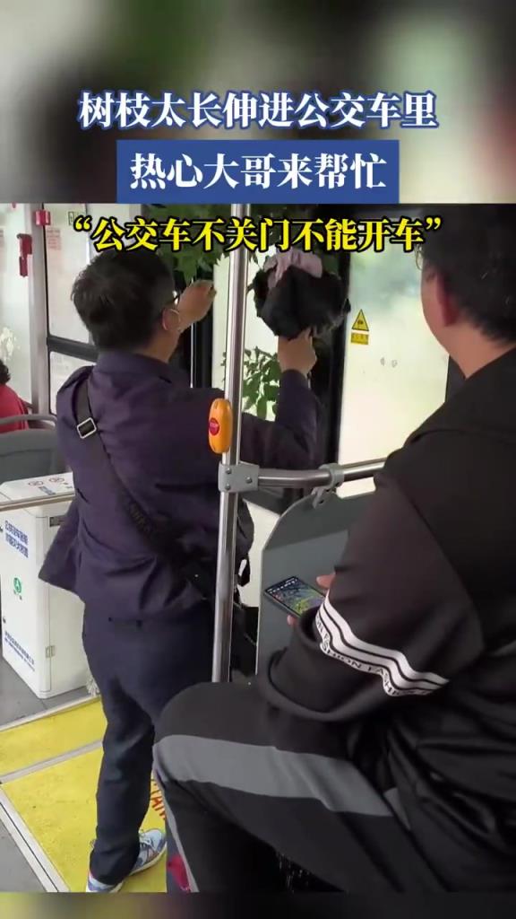 树枝太长伸进公交车 热心大哥来帮忙，“公交车不关门不能开车”