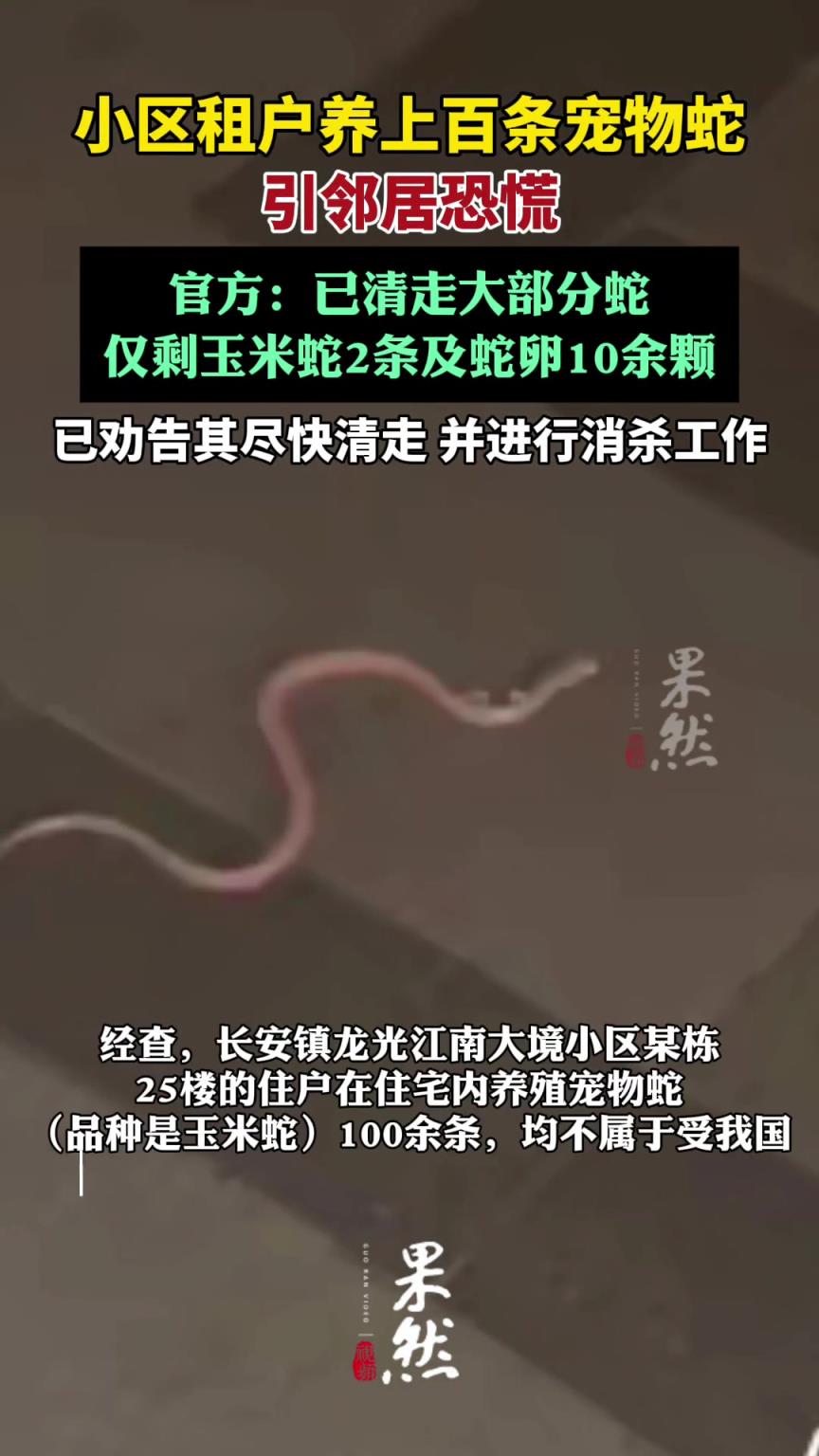 官方回應(yīng)租戶養(yǎng)100余條寵物蛇