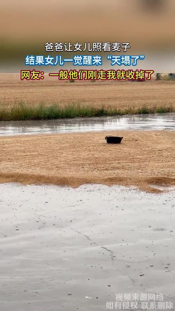 爸爸让女儿照看麦子 结果女儿一觉醒来天塌了