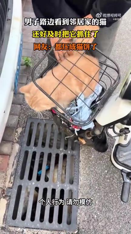 男子路边偶遇邻居家猫咪，及时出手将其抓住