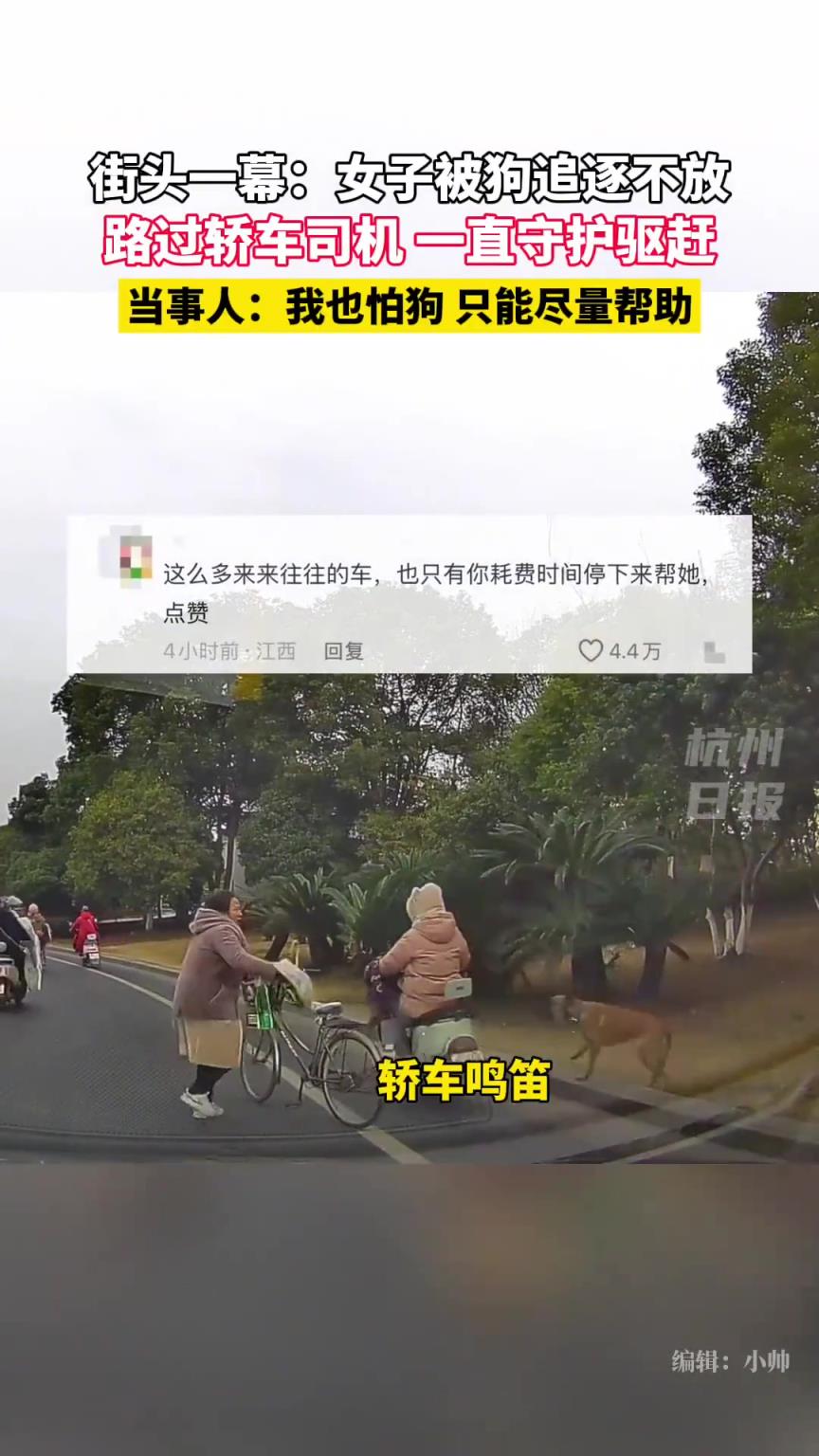 女子被狗追逐不放，路过的轿车司机一直守护驱赶