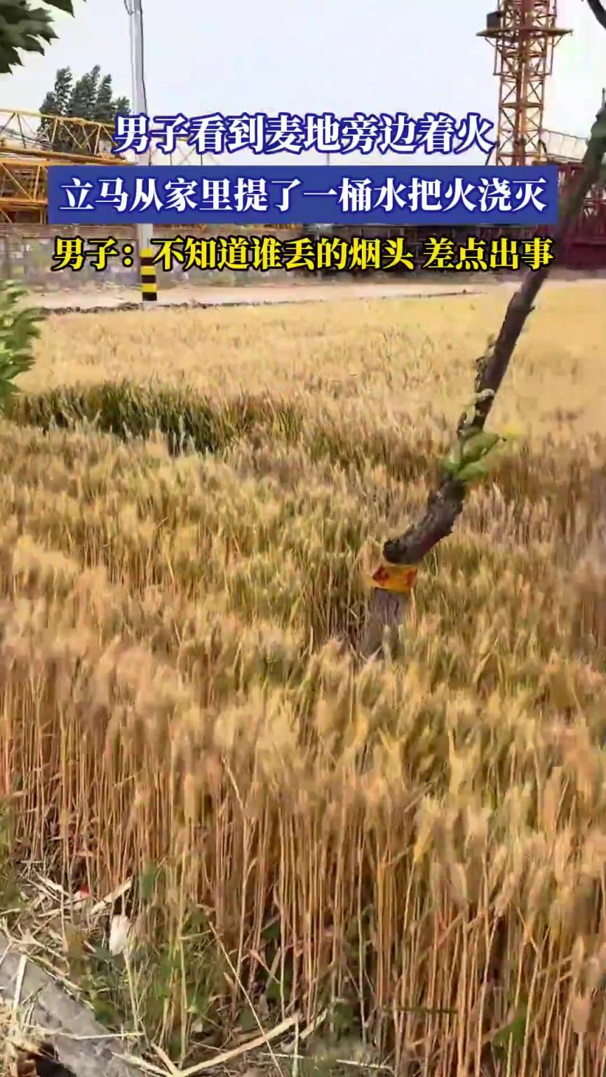 男子看到麦地旁边着火，立马从家里提了一桶水把火浇灭