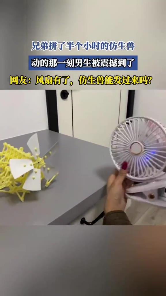 兄弟拼了半个小时的仿生兽 动的那一刻男子被震撼到了