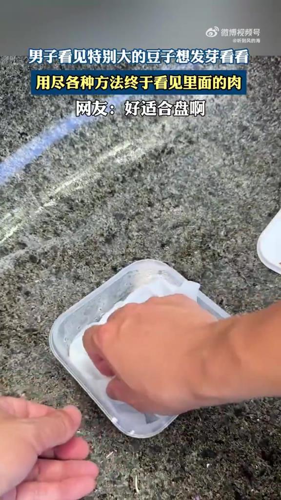 男子为看豆子发芽用尽方法，网友：好奇心战胜一切