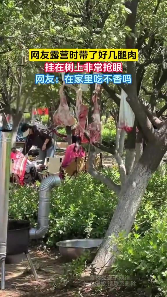 网友露营时带了好几个腿肉 挂在树上非常抢眼