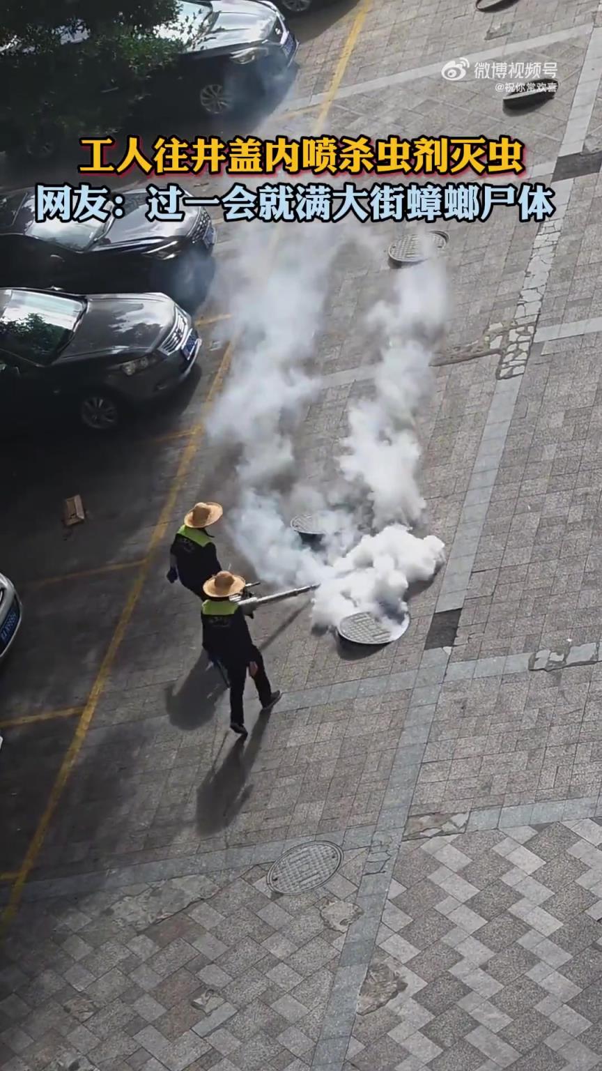 工人往井盖内喷杀虫剂，网友：过一会就满大街蟑螂尸体！