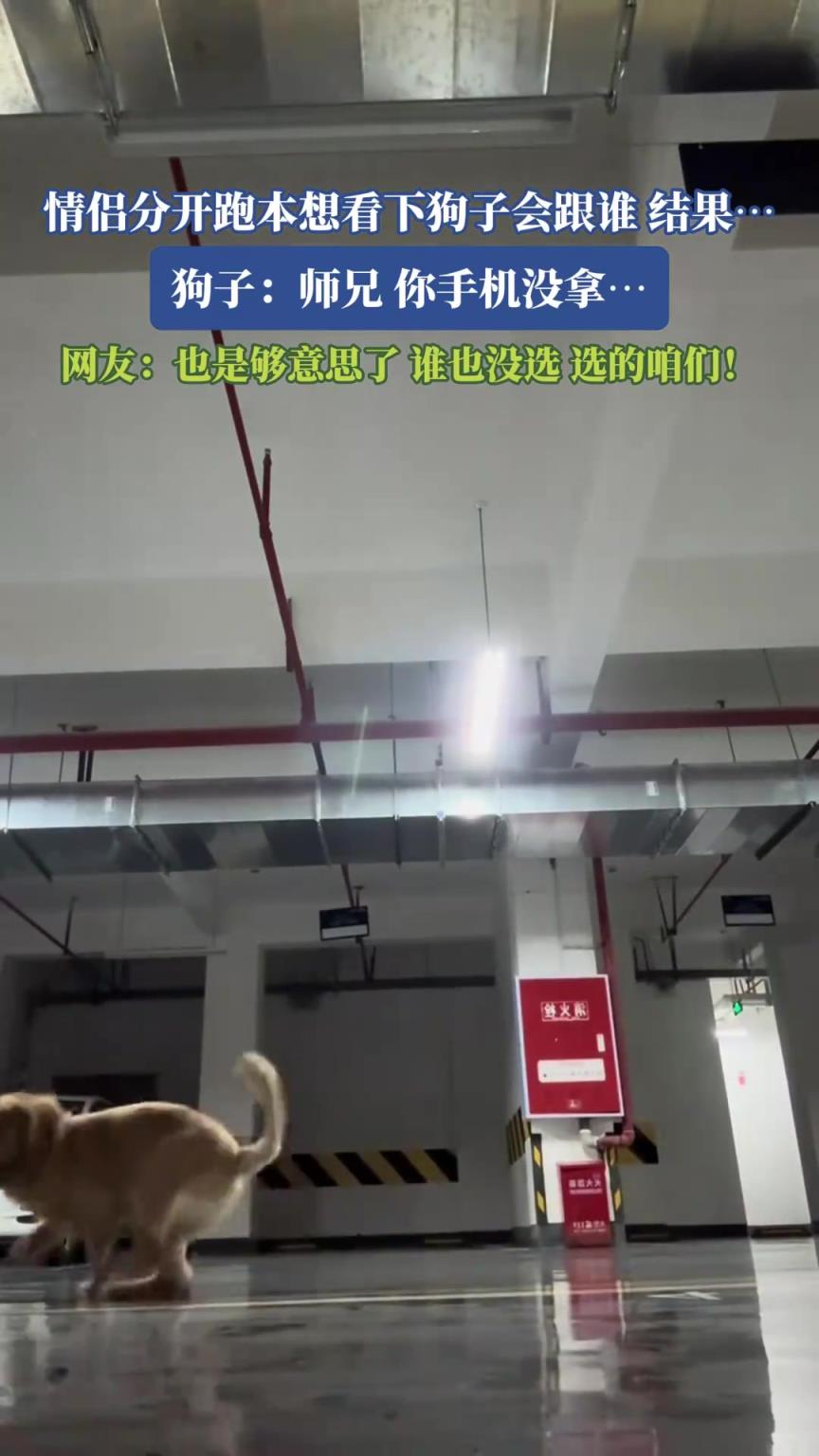 情侶分開跑本想看下狗子會跟誰，結(jié)果……狗子：哥們，你手機(jī)沒拿