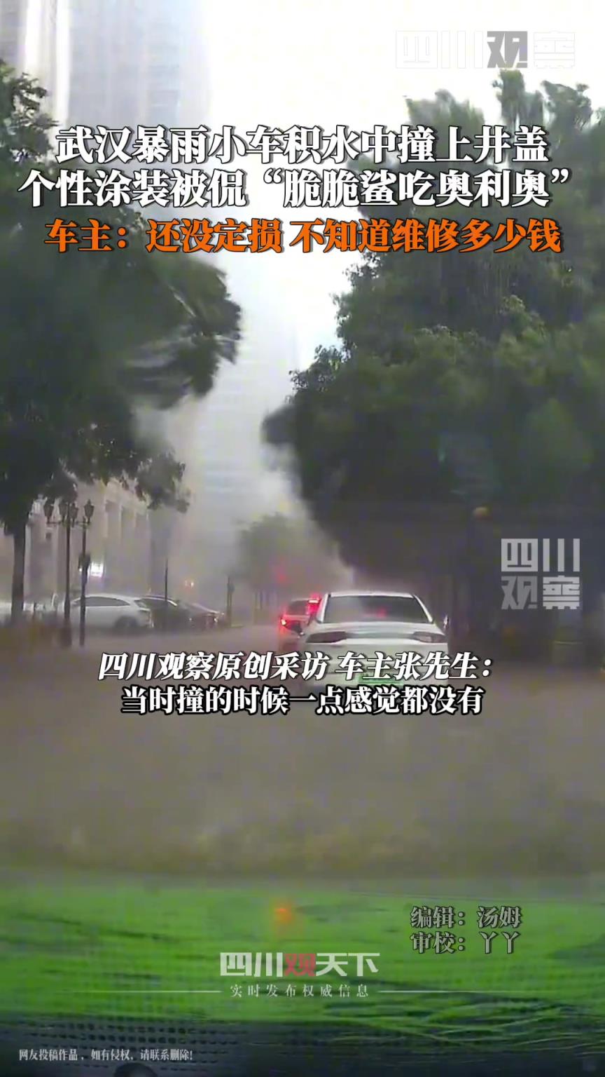 小車撞井蓋秒變脆脆鯊啃奧利奧，行車記錄儀拍下全過程