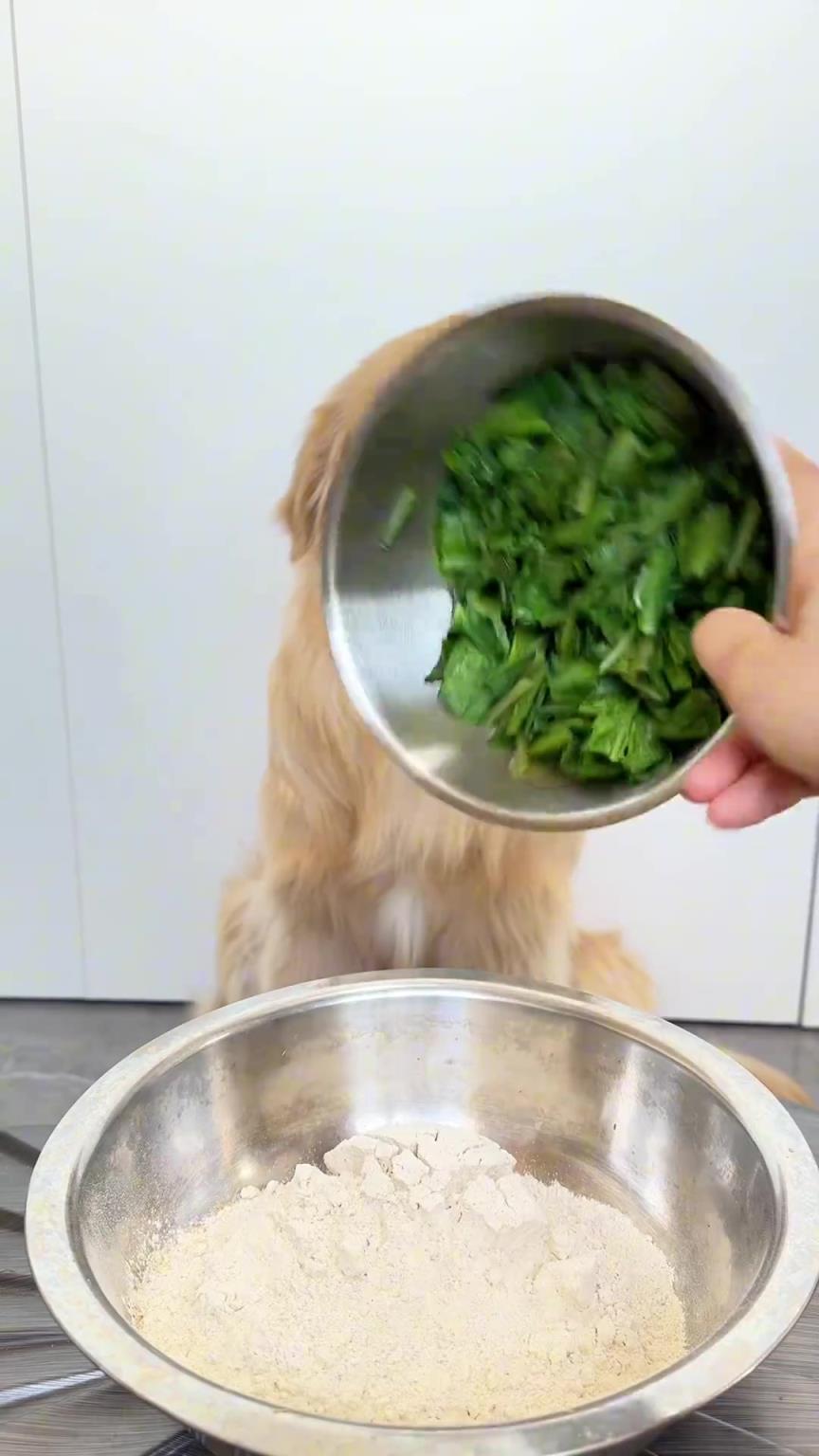 这狗子是一点都不挑食啊