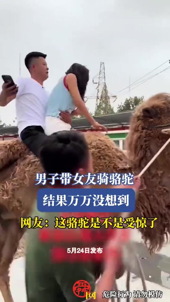 男子带女友骑骆驼，结果万万没想到，网友：骆驼是不是受惊了