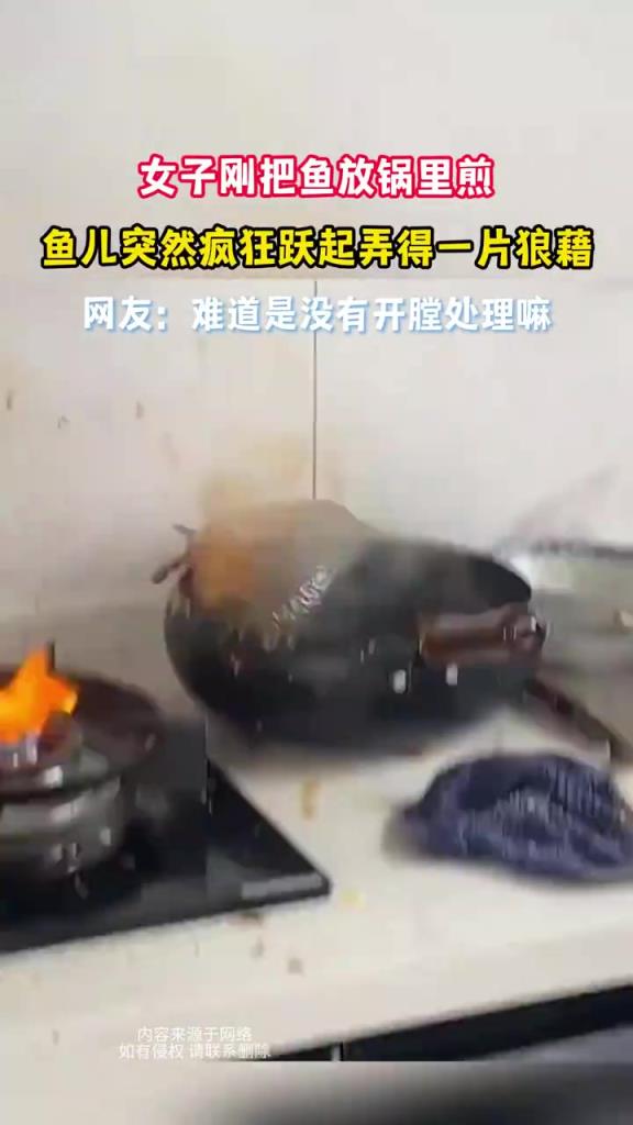 女子刚把鱼放锅里煎 鱼儿突然疯狂跃起弄得一片狼藉