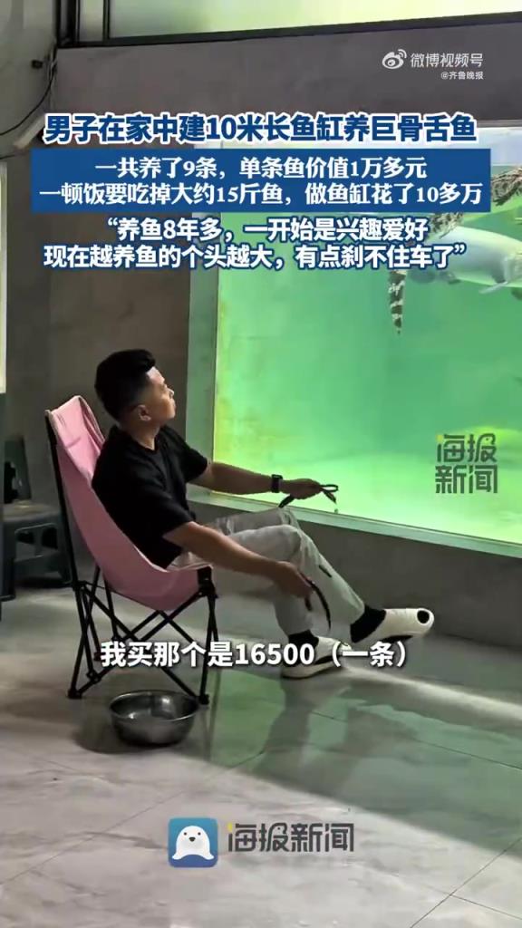 男子家中建10米鱼缸养9条巨骨舌鱼