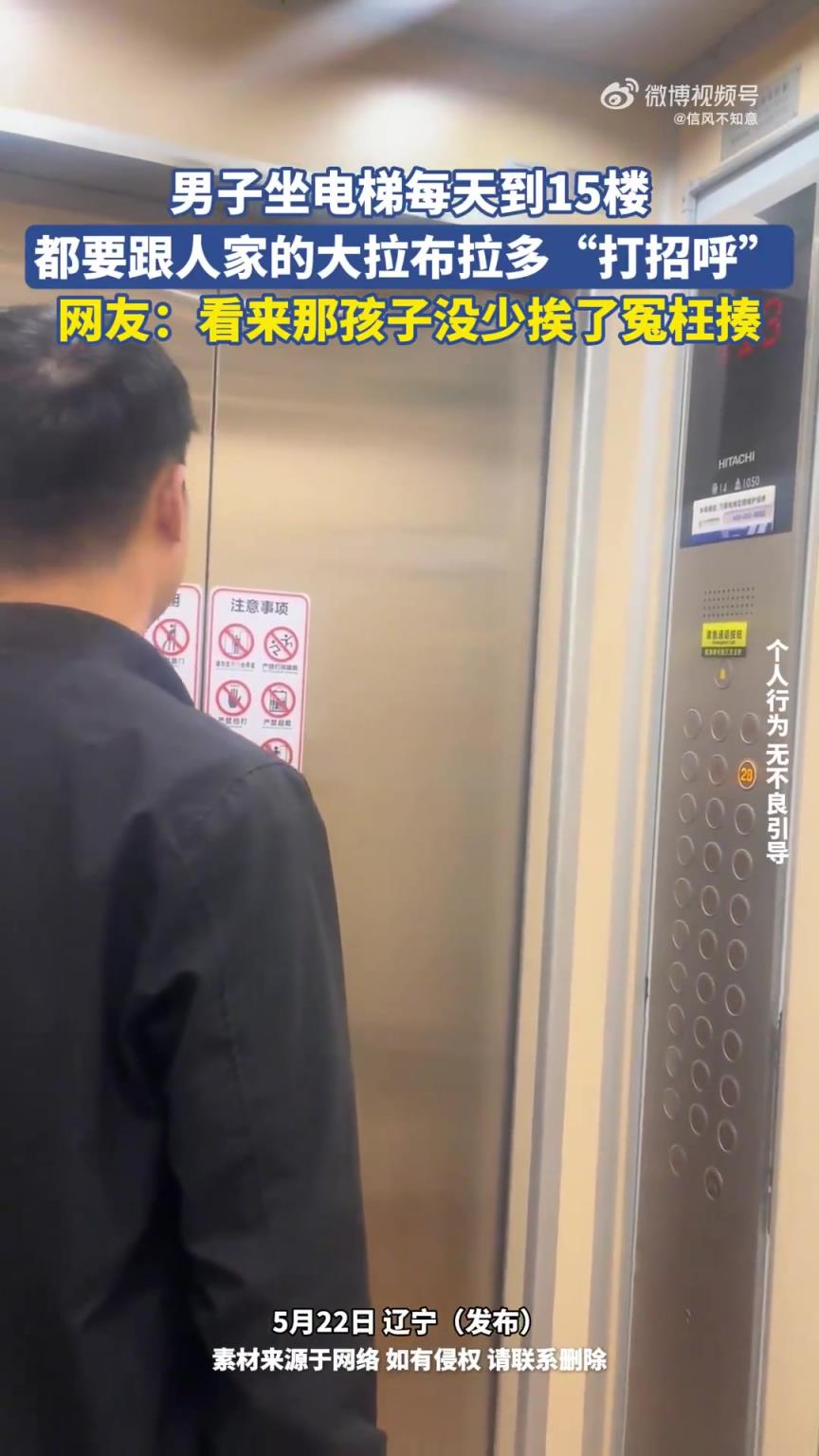 男子乘电梯至15楼，每日与大拉布拉多“打招呼”