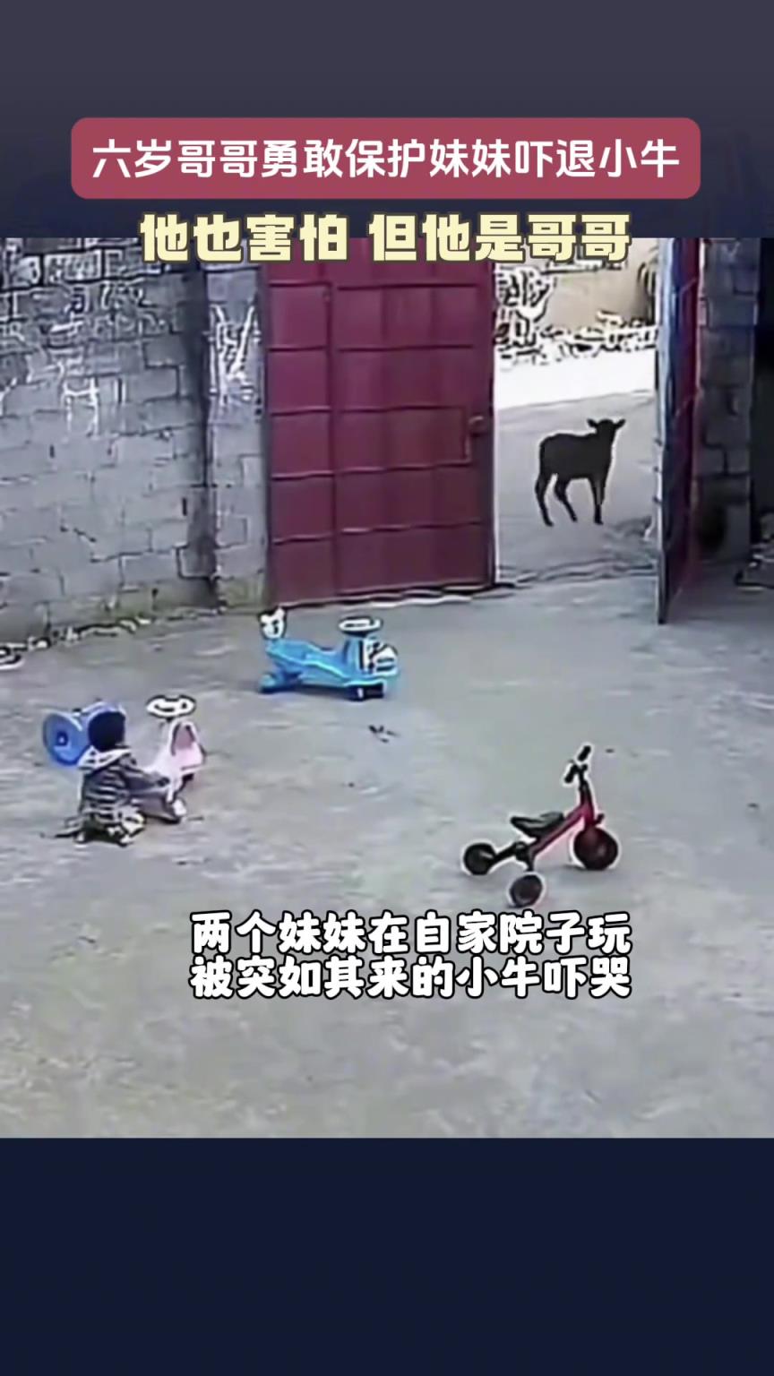 果然是当大哥得，安全感满满
