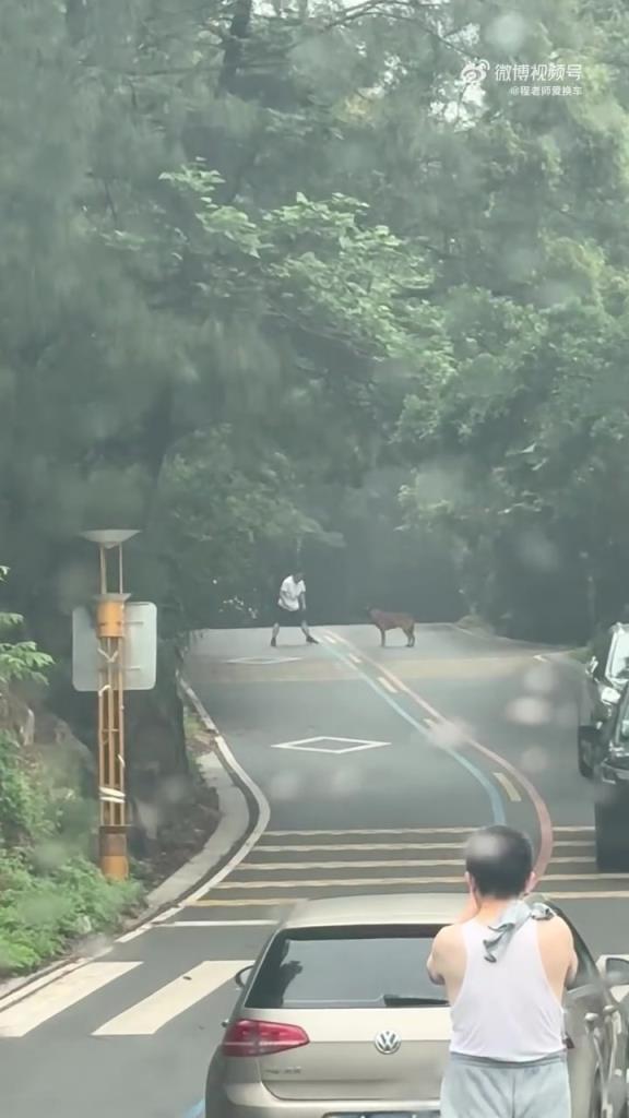 开车救他啊