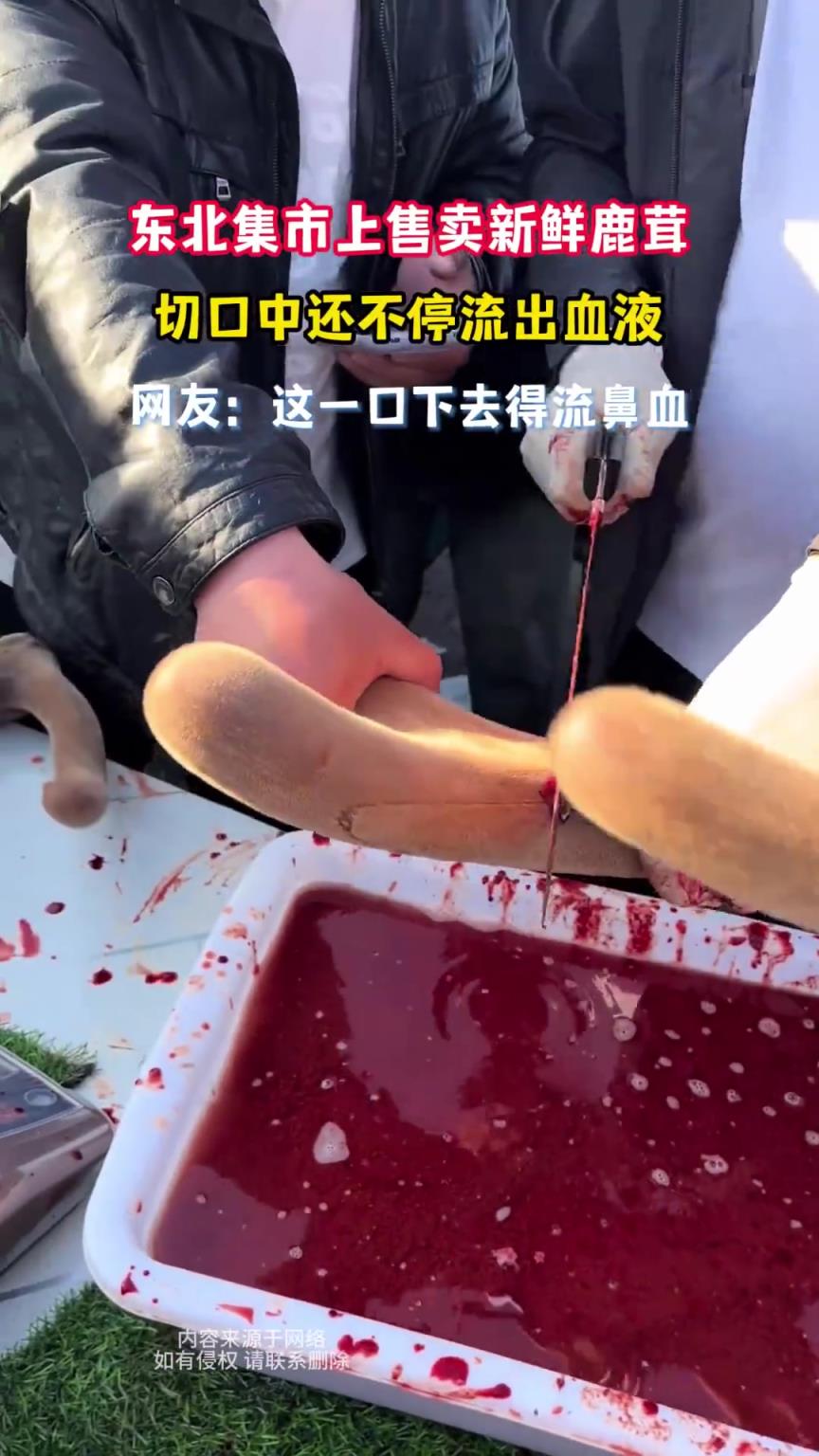 集市上售卖新鲜鹿茸，切口中还不停流出血液！！！！