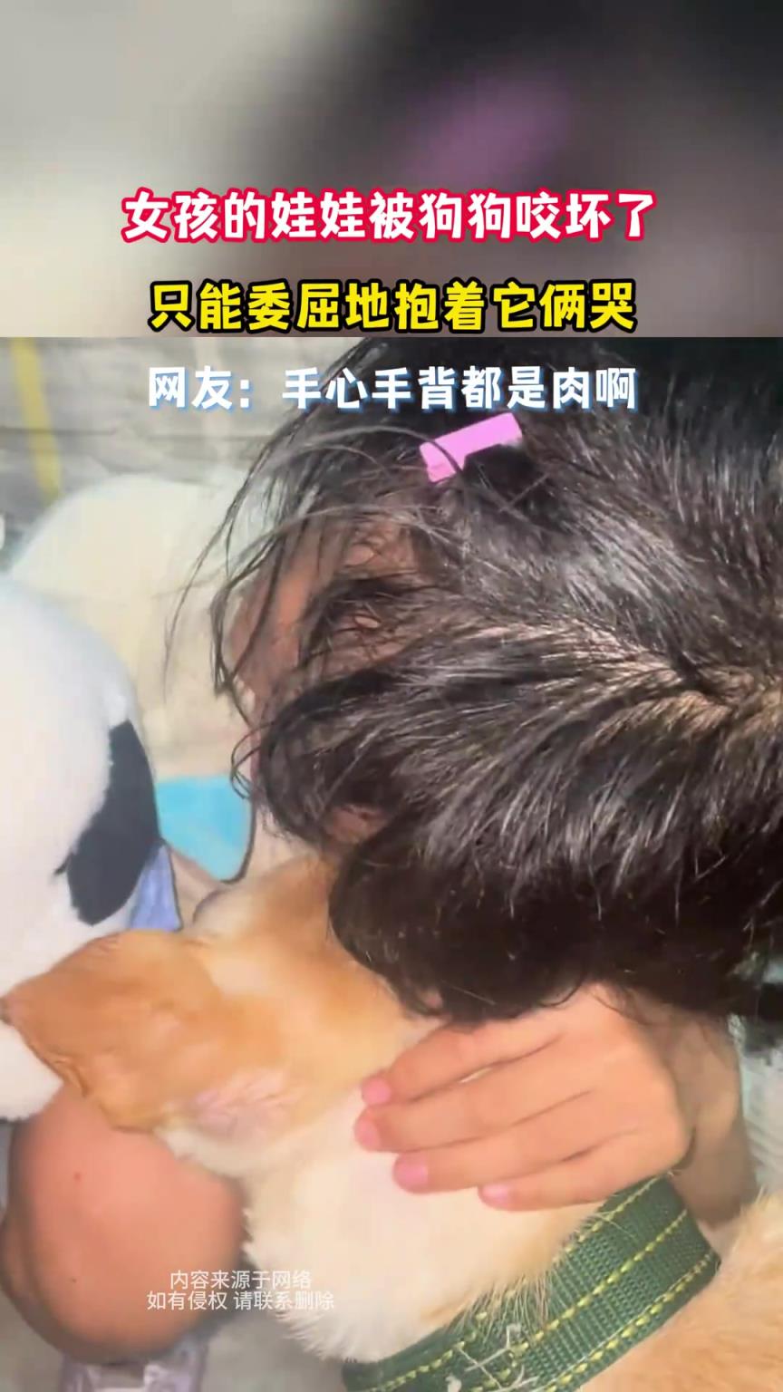 女孩的娃娃被狗狗咬坏了，只能委屈地抱着它俩哭
