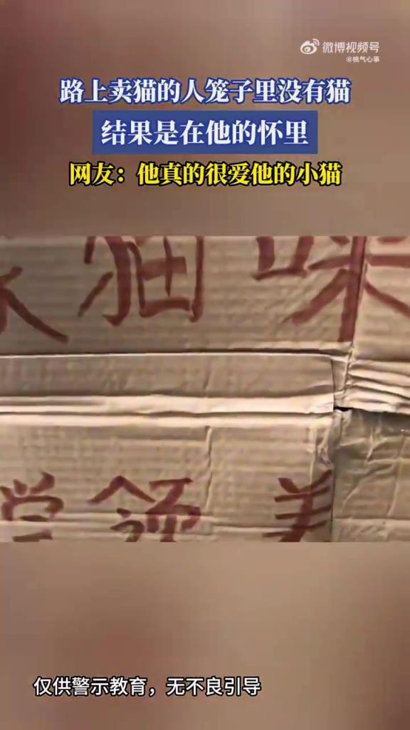 路上賣貓的人籠子里沒有貓，結(jié)果是在他的懷里！
