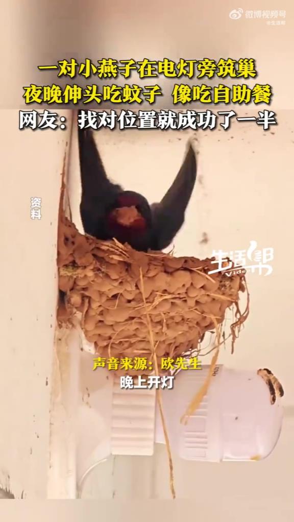 選擇比努力更重要具象化了