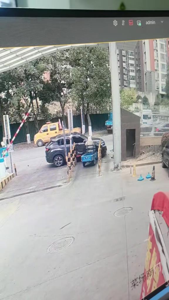 她这是把大半辈子攒的运气，全用在这一秒的救命了？