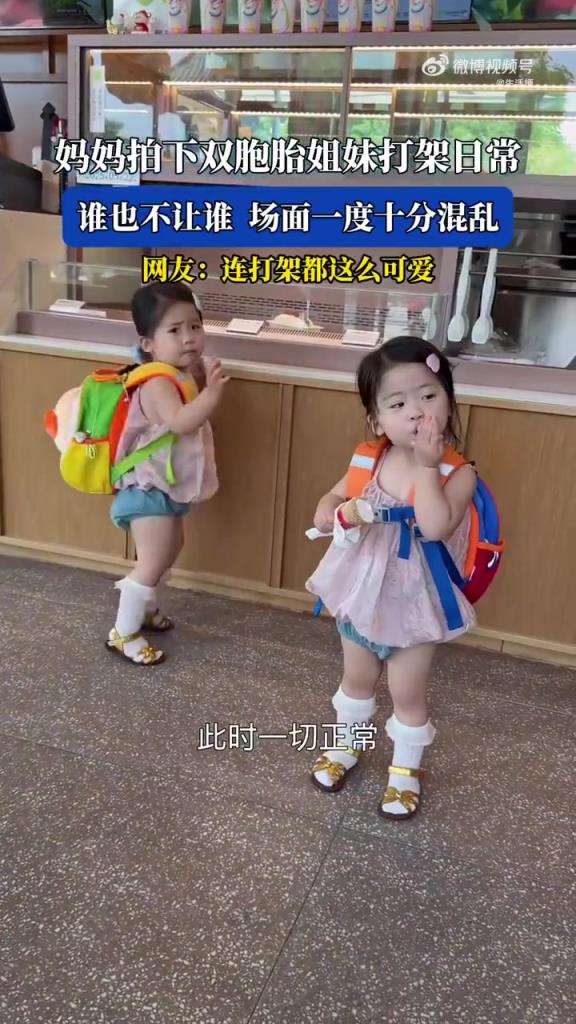 妈妈拍下双胞胎姐妹打架日常