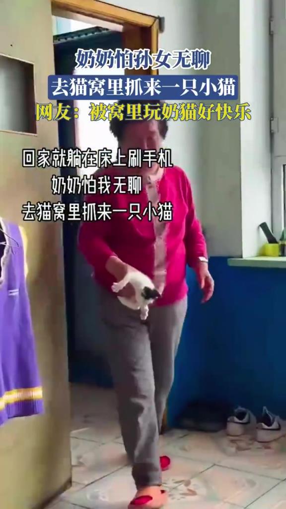 奶奶怕孙女无聊 去猫窝里抓来一只小猫