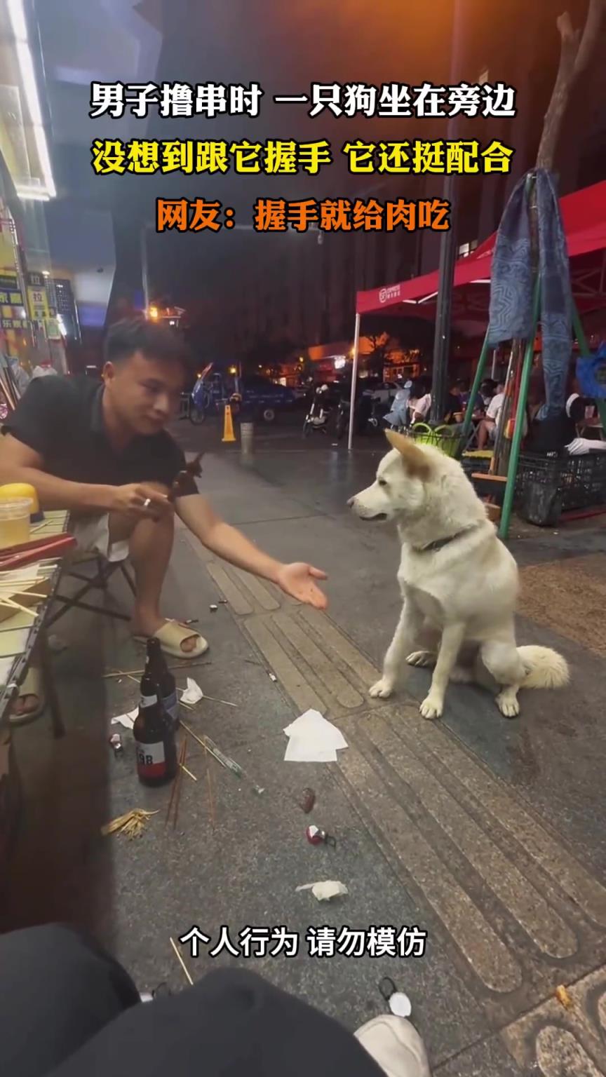 男子撸串时一只狗坐在旁边，没想到跟它握手，它还挺配合
