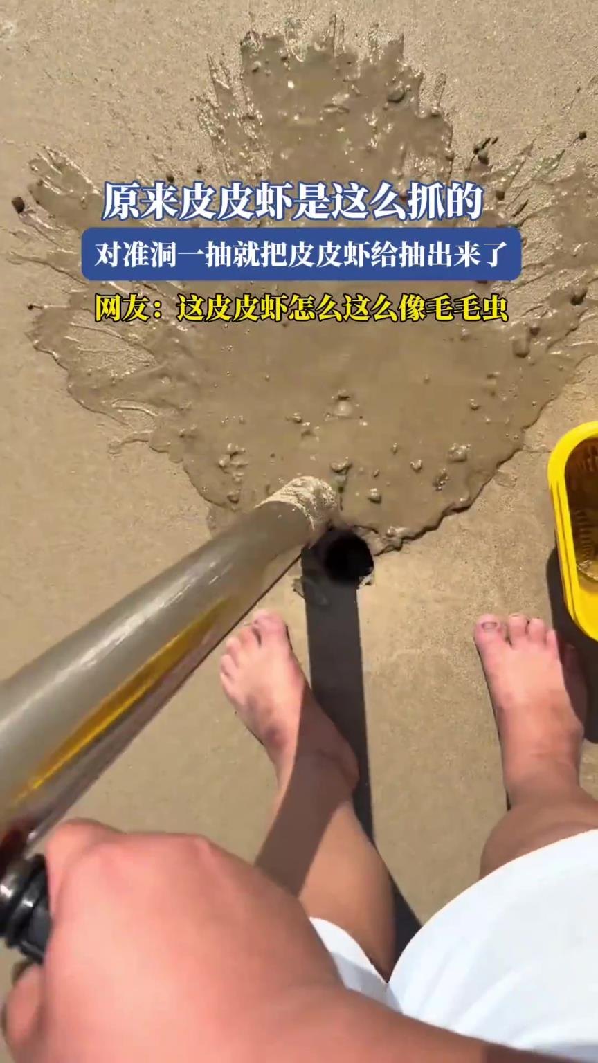 原来皮皮虾是这么抓的，对准洞一抽就把皮皮虾给抽出来了
